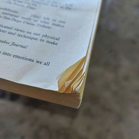 Vtg 90s Book | The Stone Diaries by Carol Shields - Picture 11 of 11